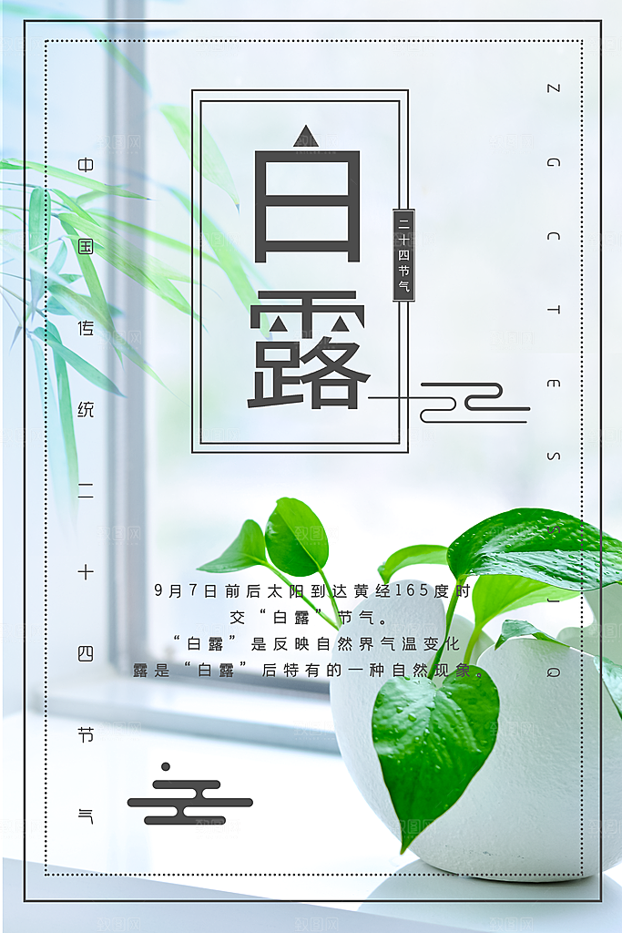 白露节气白露海报