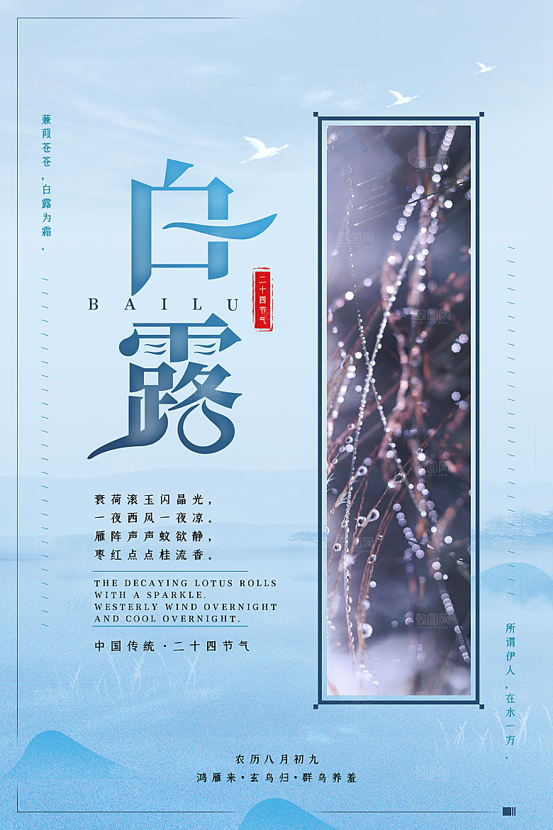 白露节气白露海报