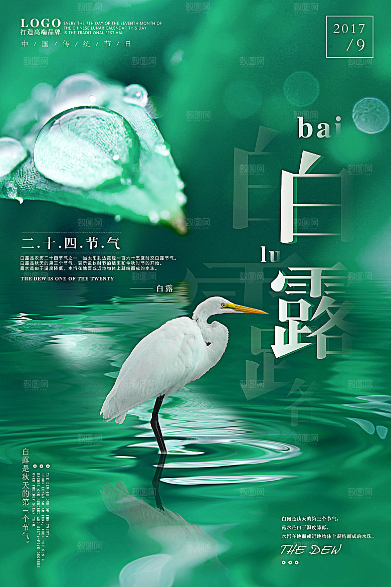 白露节气白露海报