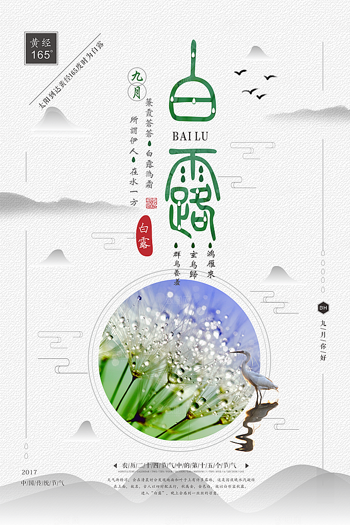 白露节气白露海报