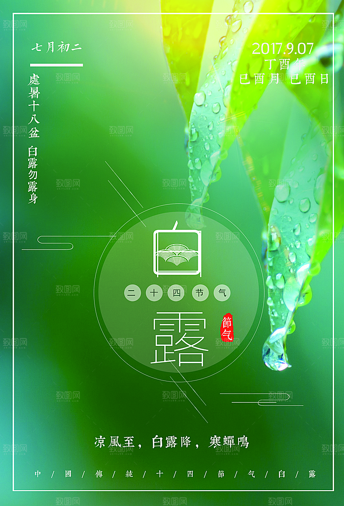 白露节气白露海报