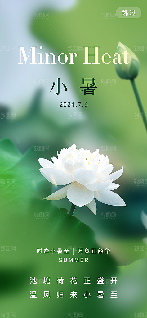 小暑节气夏日唯美传统节日插画海报