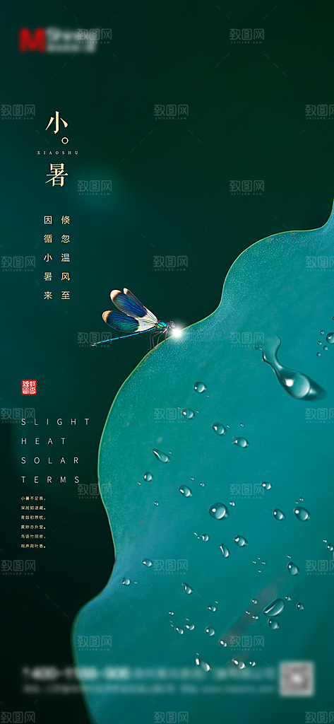 小暑插画传统夏日节日节气唯美海报