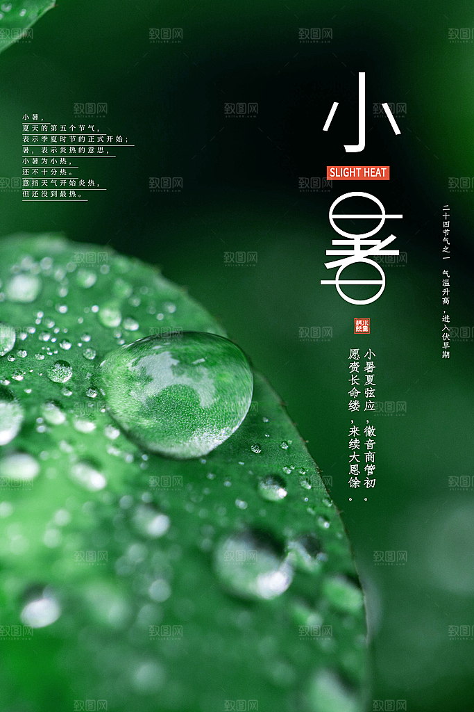 小暑海报小暑单图