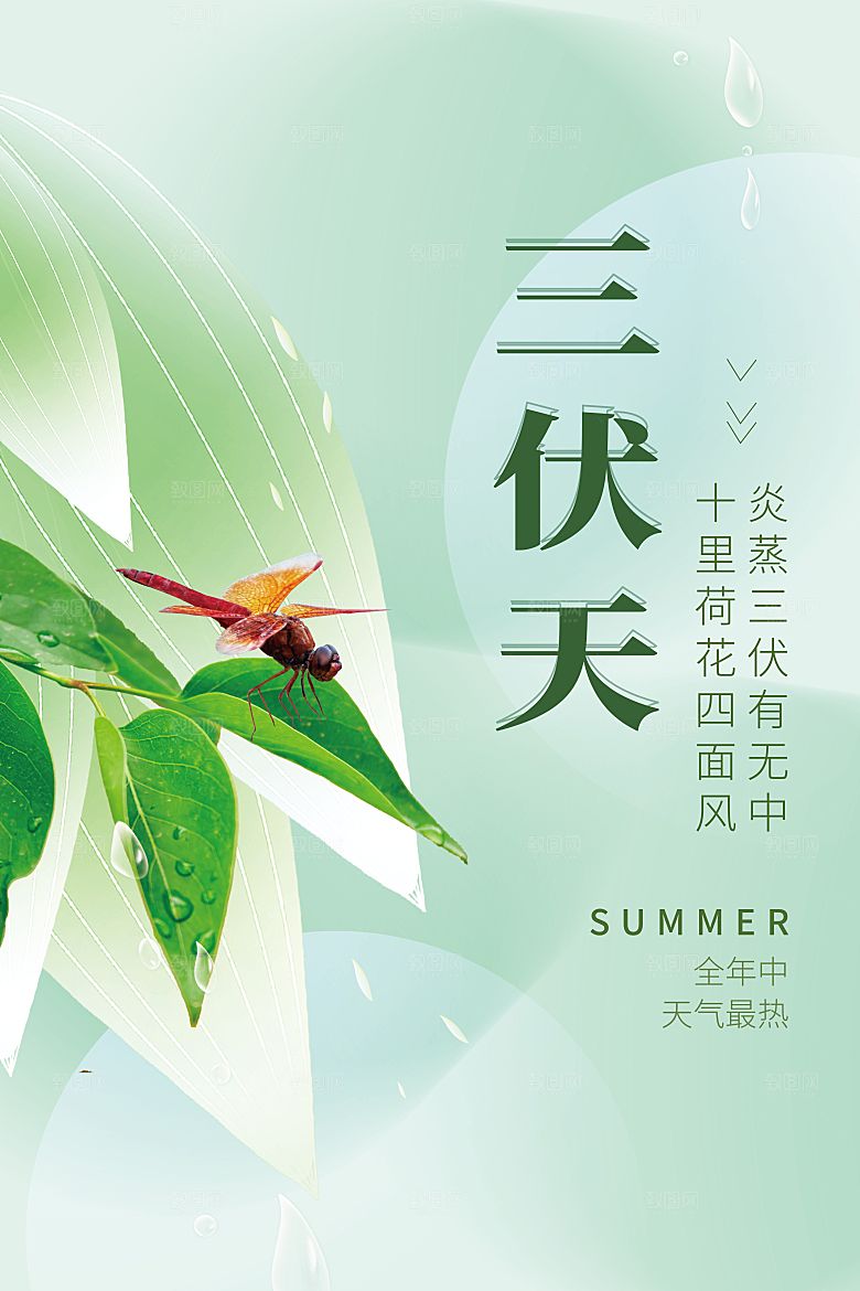 夏日初伏中伏三伏天海报