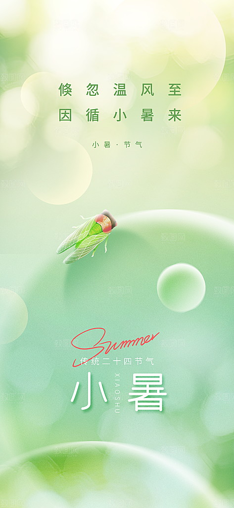 小暑夏日唯美插画传统节日节气海报
