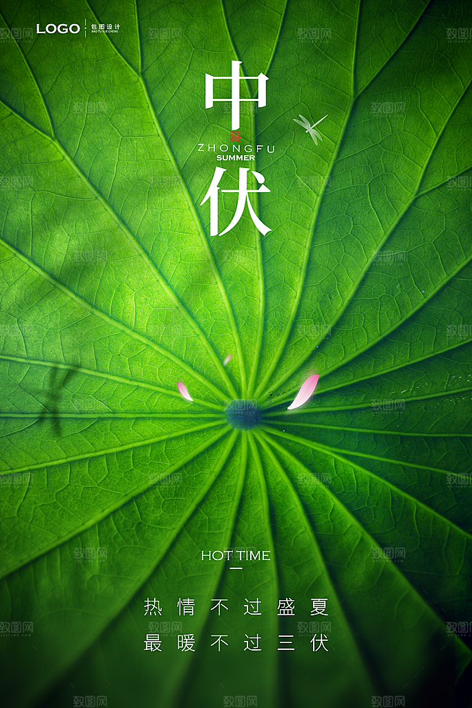 夏日初伏中伏三伏天海报