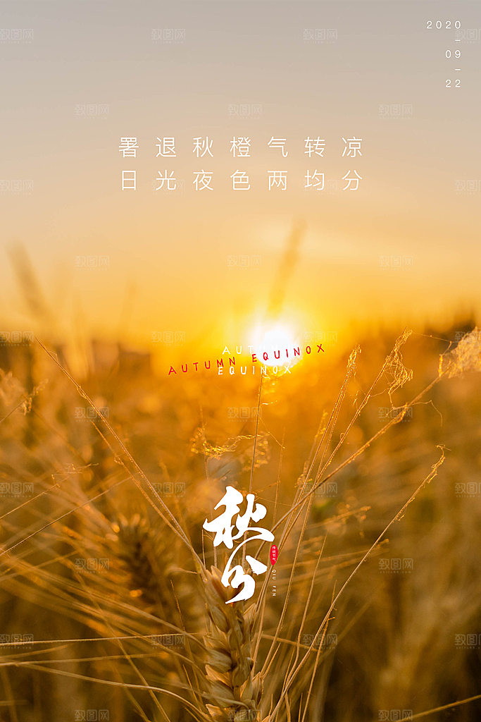 秋分节气秋分海报