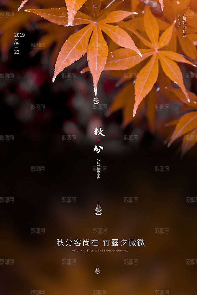 秋分节气秋分海报