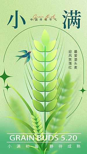 小满节气简约大气海报