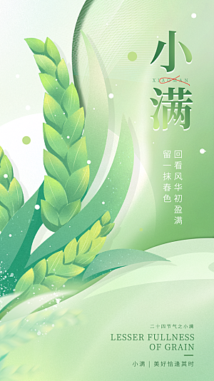 小满节气简约大气海报
