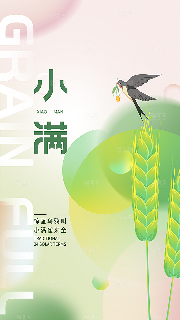 小满节气简约大气海报