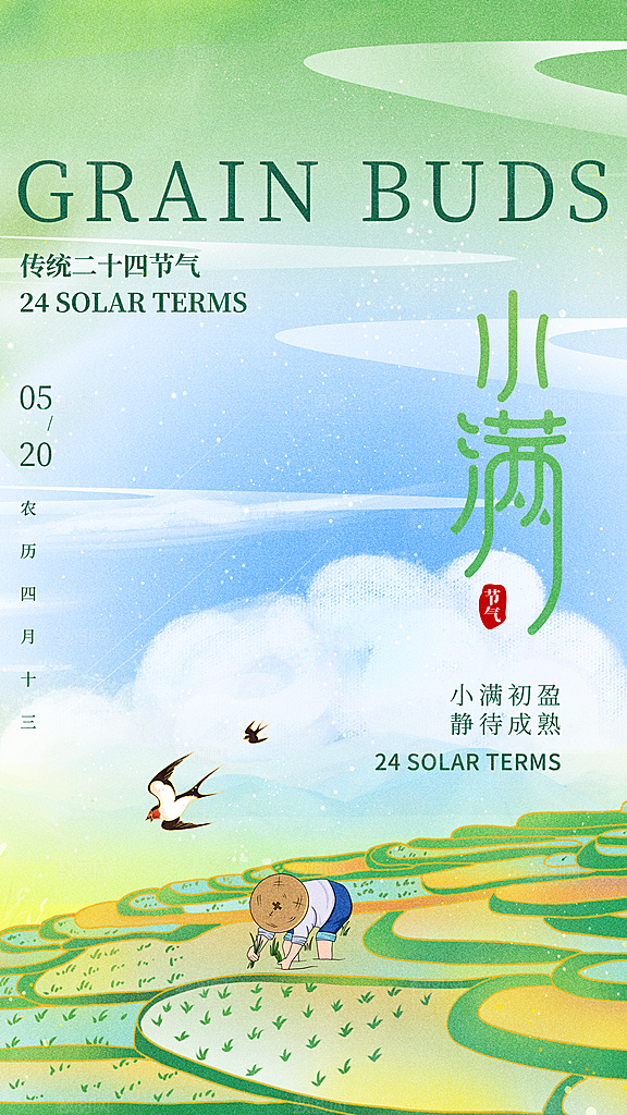 小满节气简约大气海报