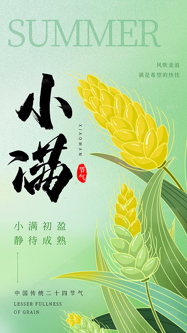 小满节气简约大气海报