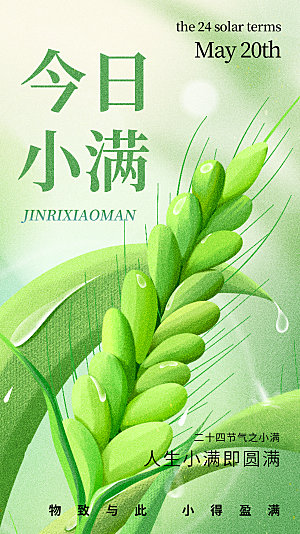 小满节气简约大气海报