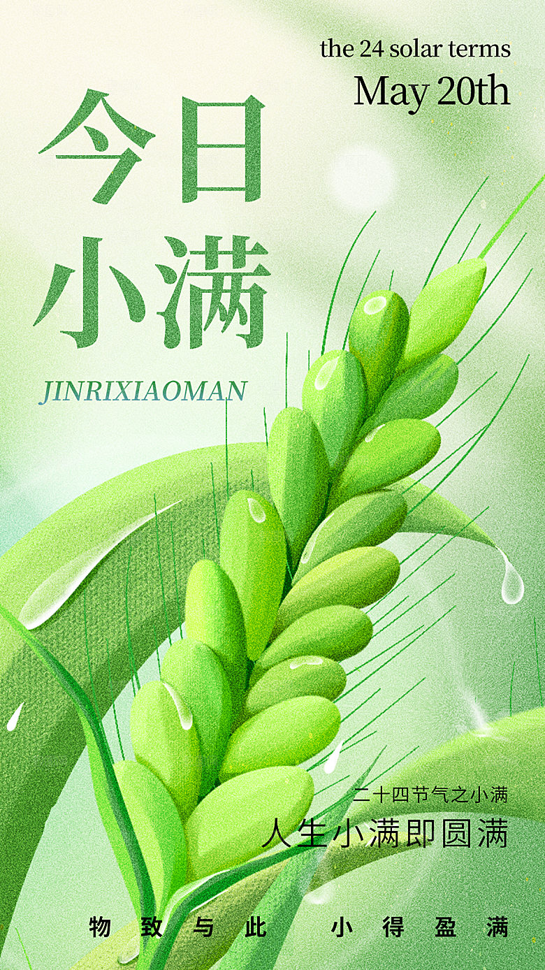 小满节气简约大气海报