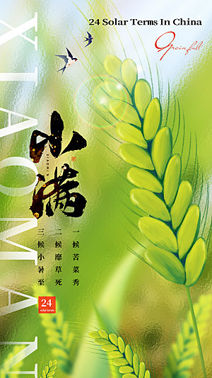 小满节气简约大气海报