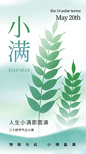 传统节气小满海报模版