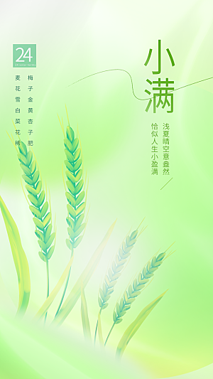 传统节气小满海报模版