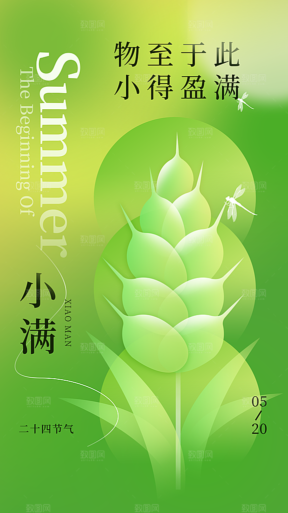 小满节气简约大气海报