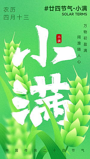 小满节气简约大气海报