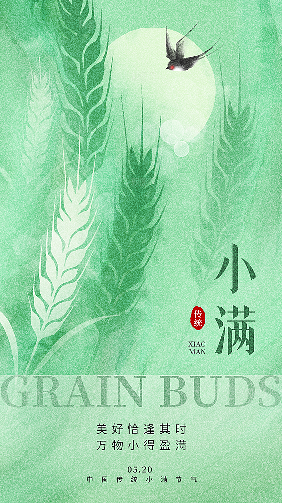 小满节气简约大气海报