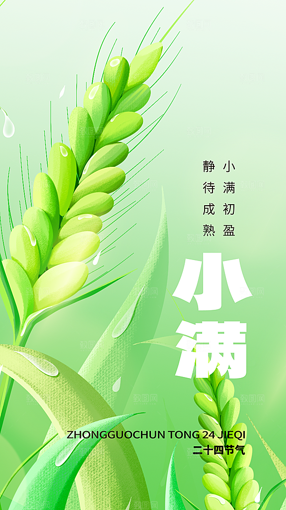 小满节气简约大气海报