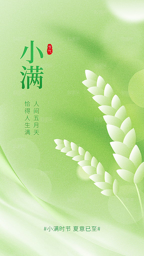 小满节气简约大气海报
