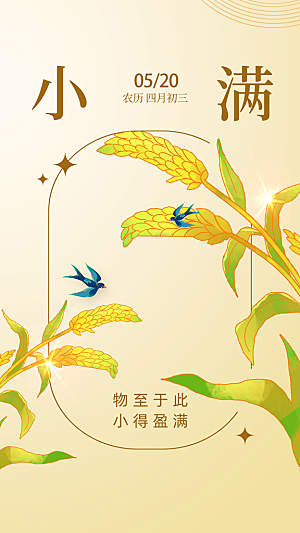 小满节气简约大气海报
