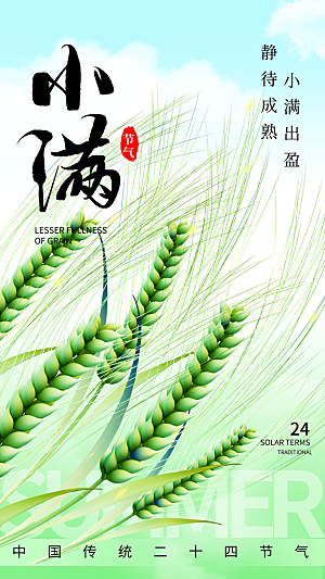 小满节气简约大气海报