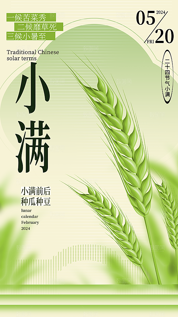 小满节气简约大气海报