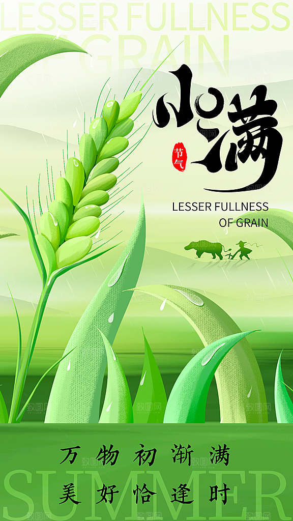 小满节气简约大气海报