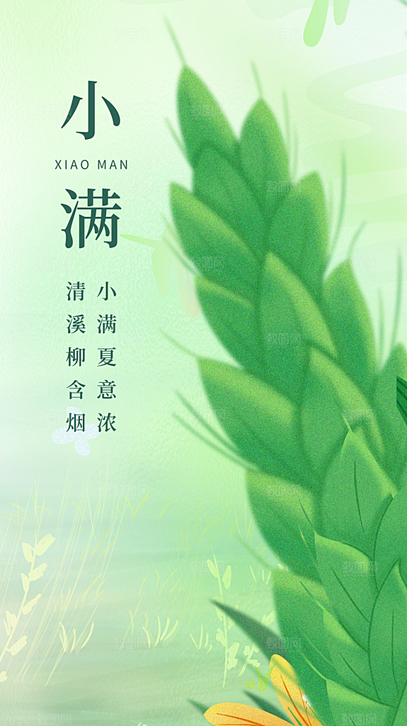 小满节气简约大气海报
