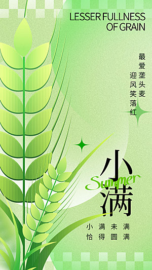 小满节气简约大气海报