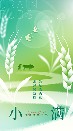 传统节气小满海报模版