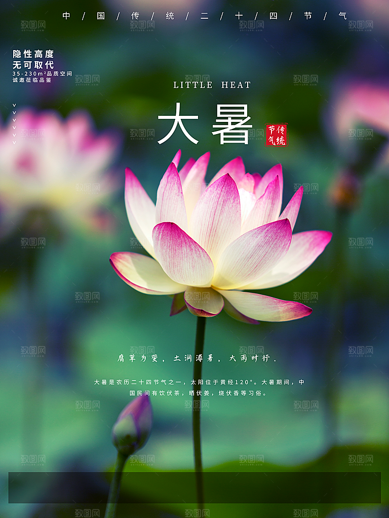 传统二十四节气大暑