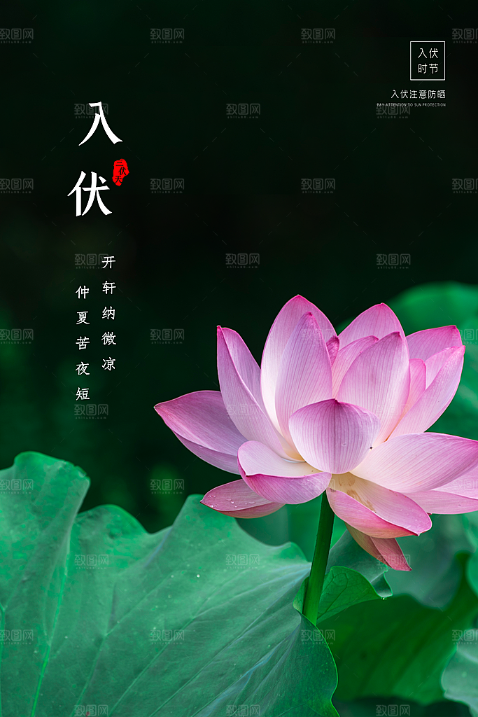 简约大气夏季三伏天海报模板