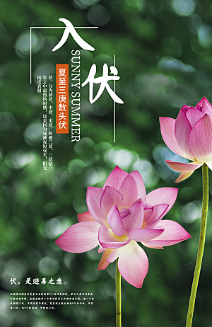 简约大气夏季三伏天海报模板