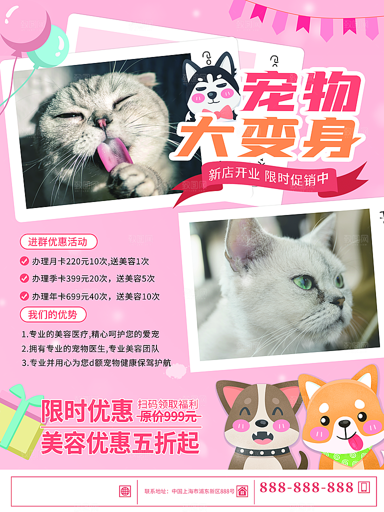宠物动物口粮商店美容海报