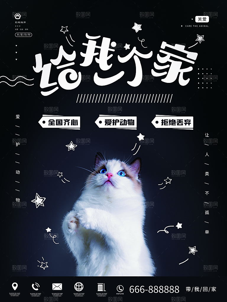 宠物动物口粮商店美容海报