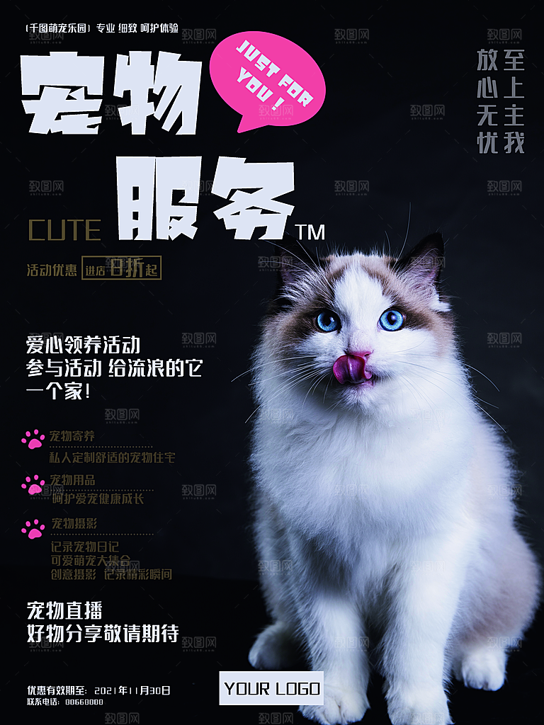 宠物动物口粮商店美容海报