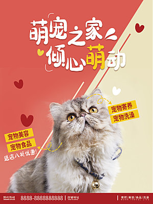 宠物动物口粮商店美容海报