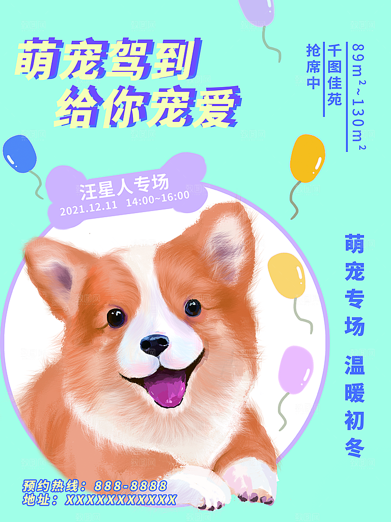 宠物动物口粮商店美容海报