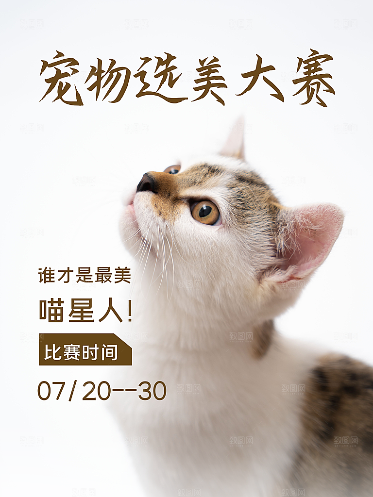 宠物动物口粮商店美容海报