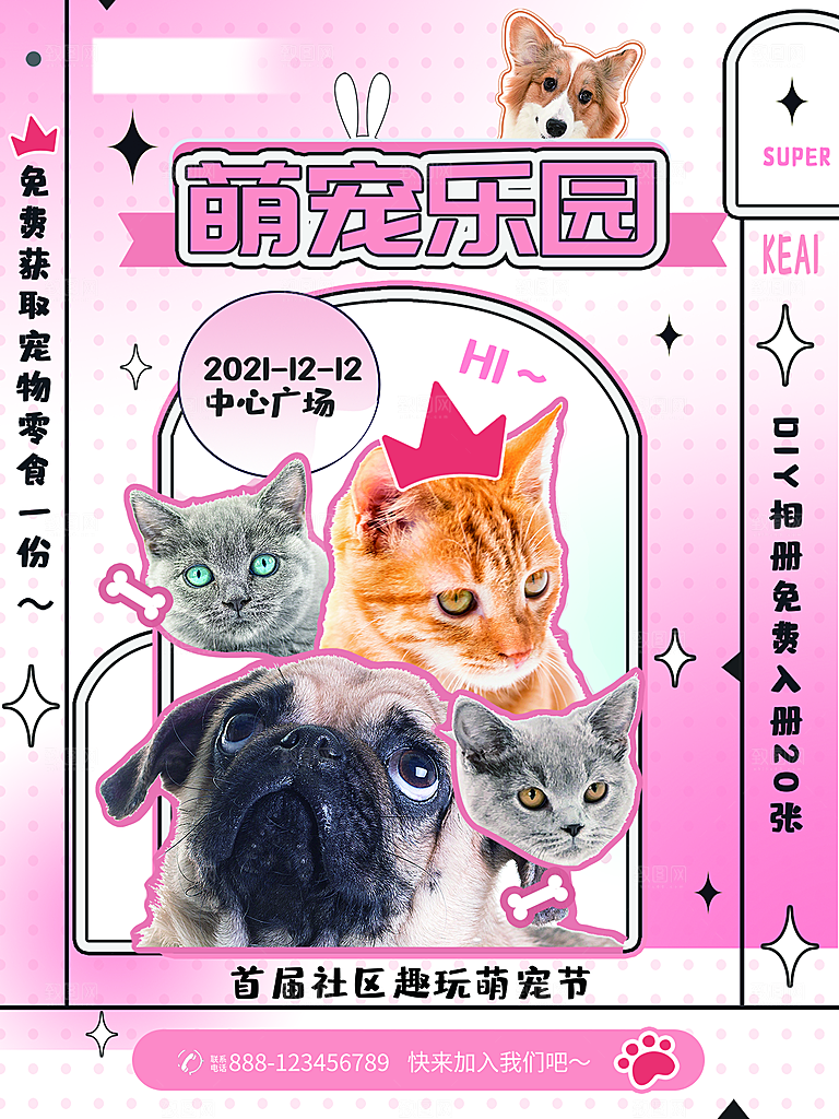 宠物动物口粮商店美容海报
