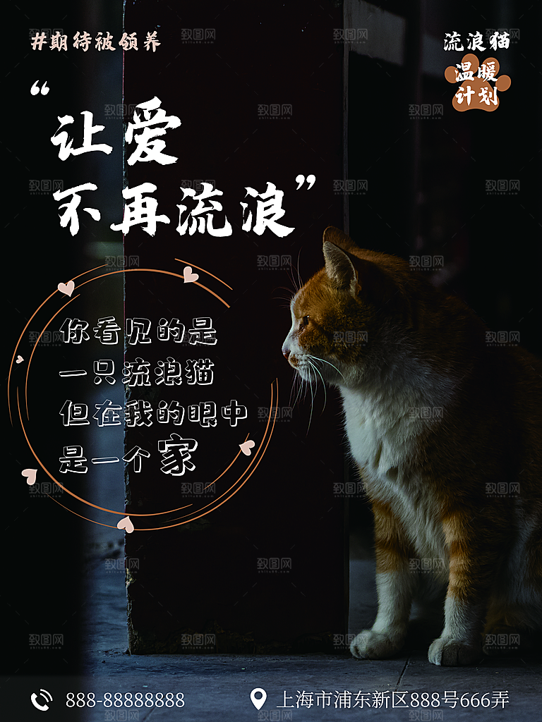 宠物动物口粮商店美容海报