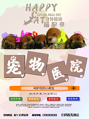 宠物动物口粮商店美容海报