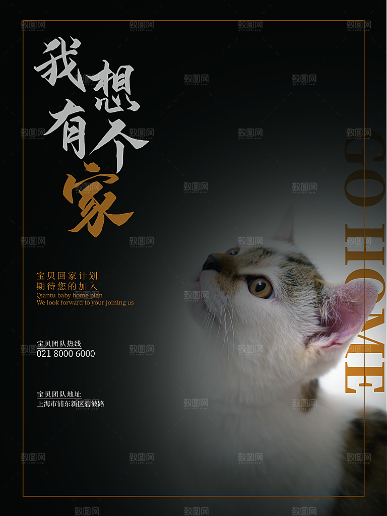 宠物动物口粮商店美容海报
