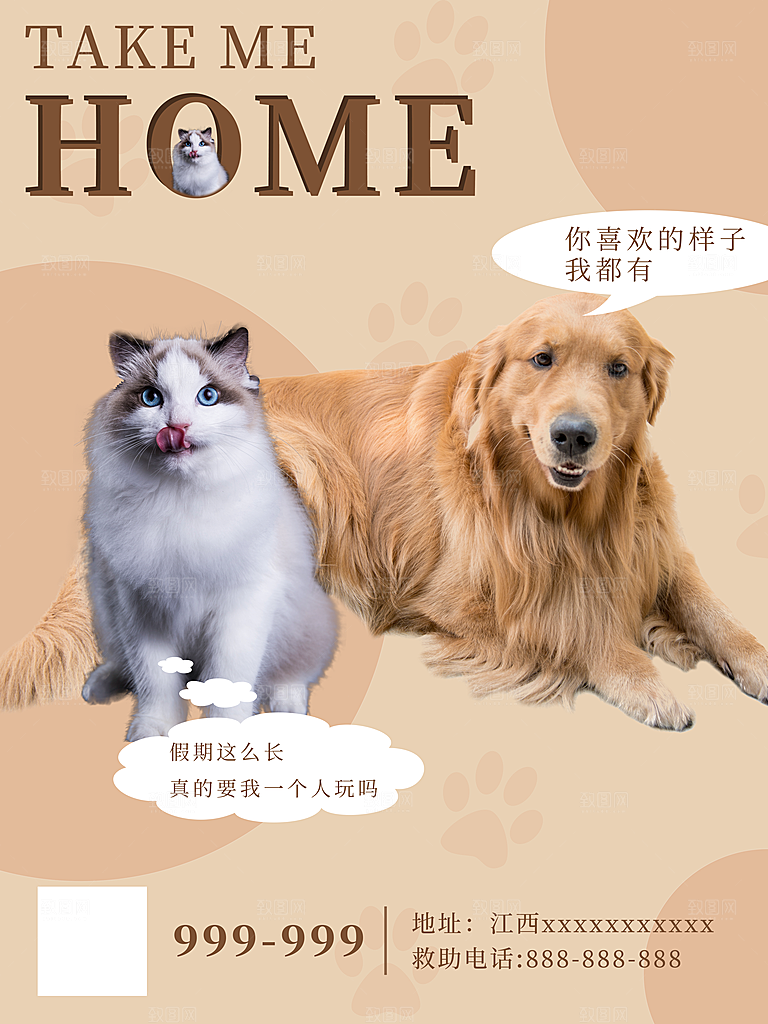 宠物动物口粮商店美容海报