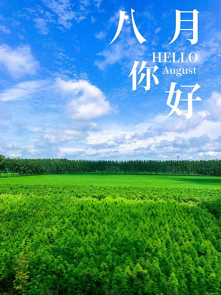 八月你好宣传海报